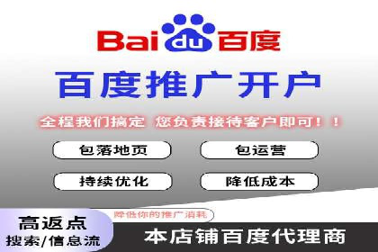 竞价广告与自然搜索的结合策略：XX网站的案例分析